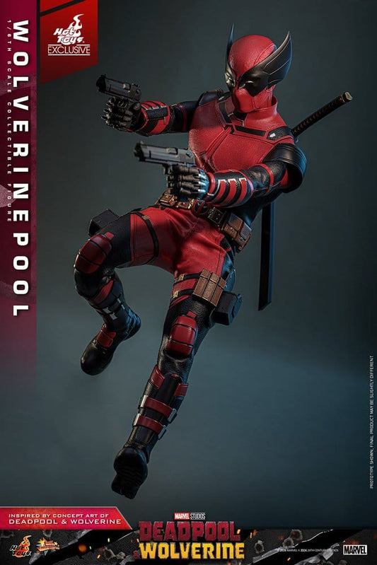 Wolverinepool 1/6 Deadpool & Wolverine Movie Masterpiece Hot Toys