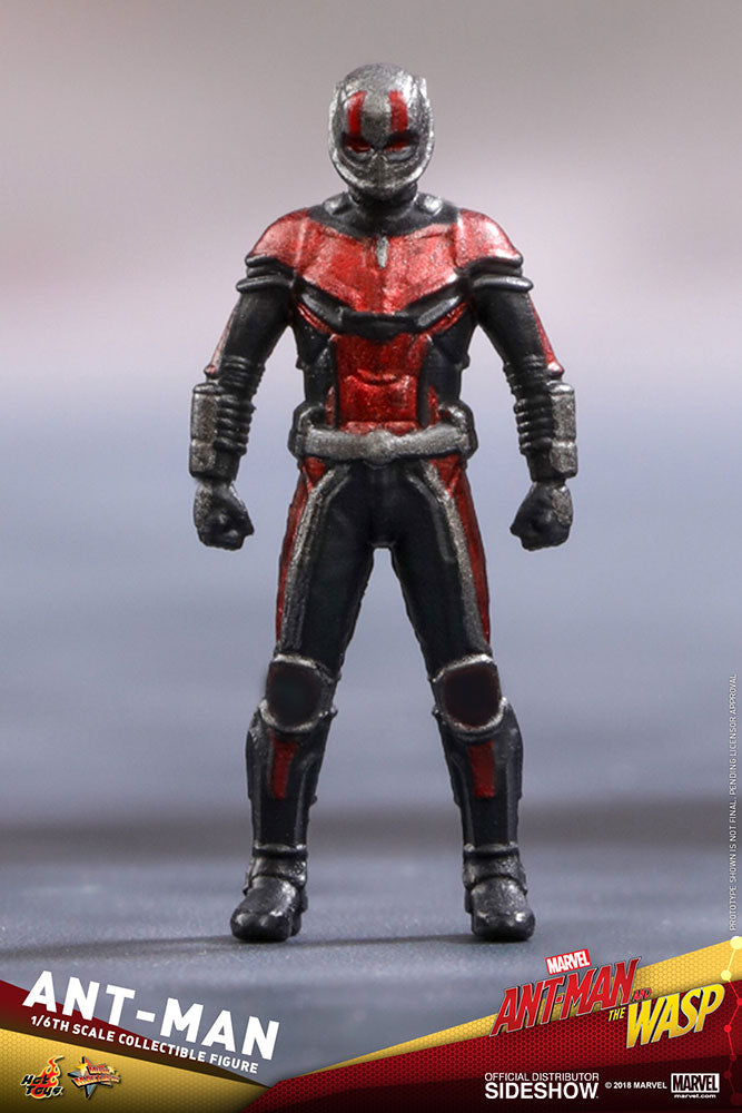 Ant-Man 1/6 Ant-Man and The Wasp