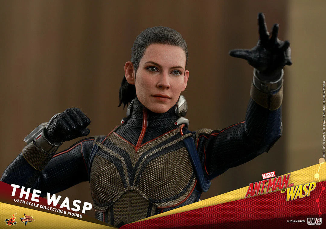 The Wasp 1/6 Ant-Man and The Wasp