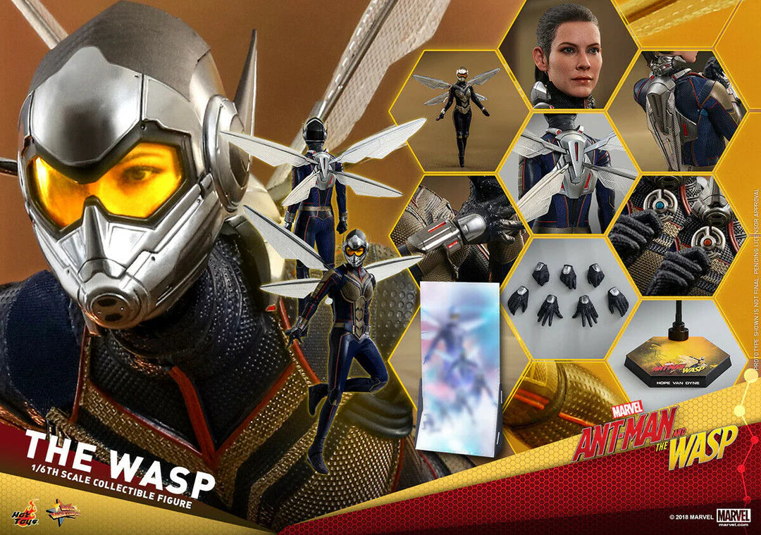 The Wasp 1/6 Ant-Man and The Wasp