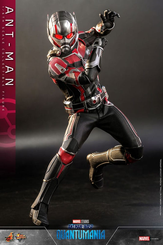 Ant-Man 1/6 Ant-Man & The Wasp: Quantumania Figura Movie Masterpiece