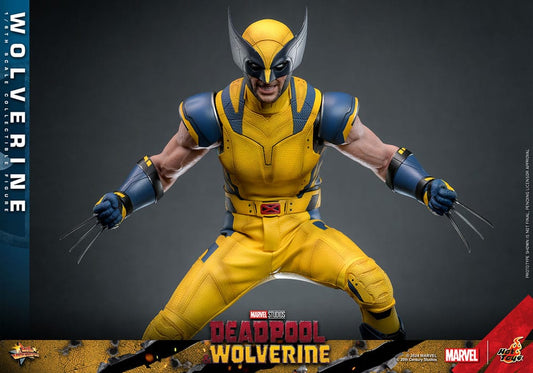 Wolverine 1/6 Deadpool & Wolverine Movie Masterpiece Figura