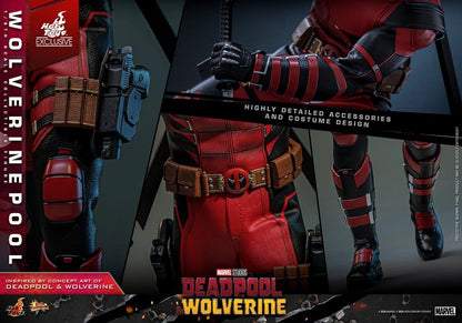 Wolverinepool 1/6 Deadpool & Wolverine Movie Masterpiece Hot Toys
