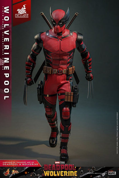 Wolverinepool 1/6 Deadpool & Wolverine Movie Masterpiece Hot Toys