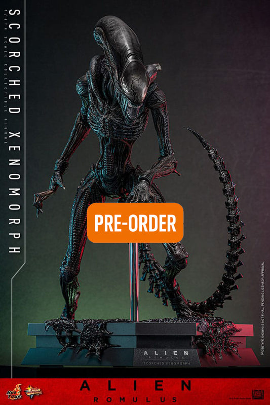 🔴PRE-ORDER Scorched Xenomorph 1/6 Alien: Romulus Figura Movie Masterpiece
