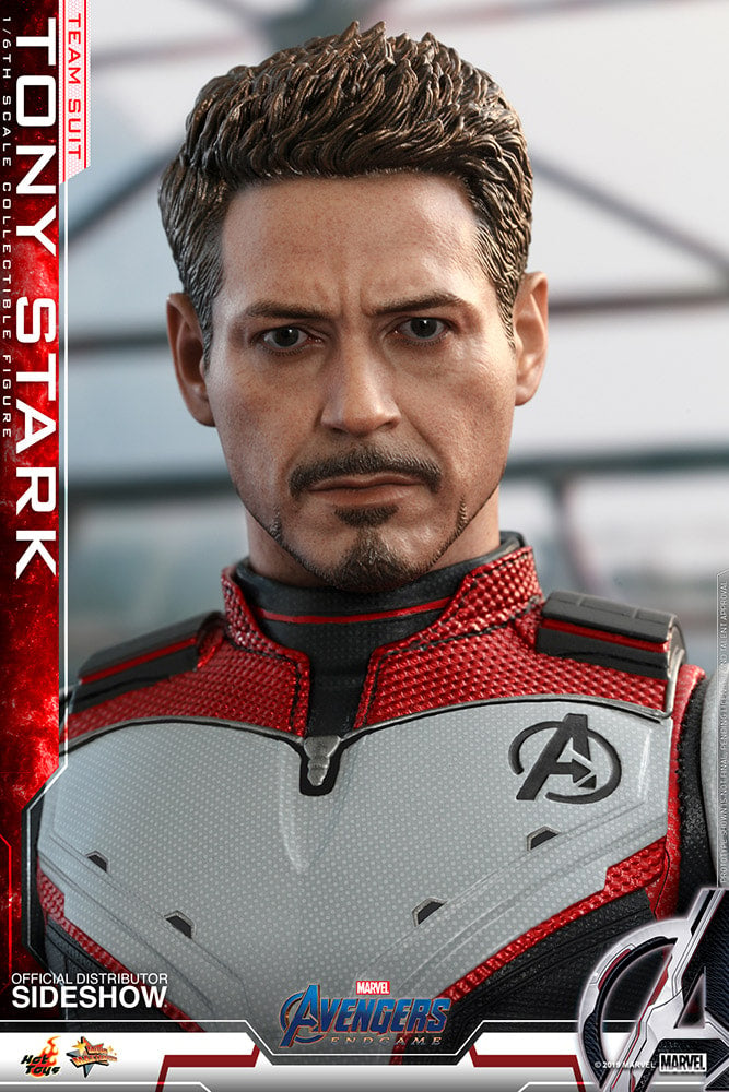 Tony Stark (Team Suit)  1/6 Avengers Endgame