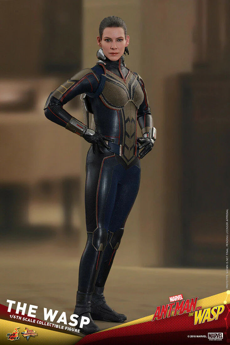 The Wasp 1/6 Ant-Man and The Wasp