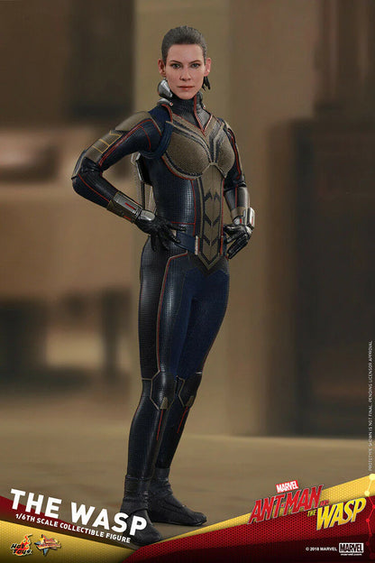 The Wasp 1/6 Ant-Man and The Wasp