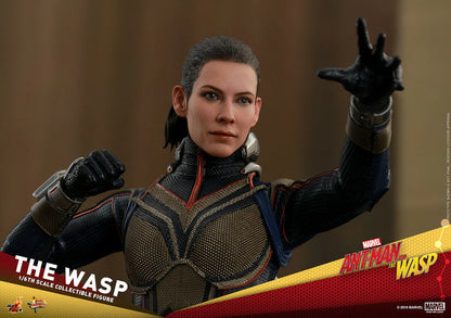 The Wasp 1/6 Ant-Man and The Wasp