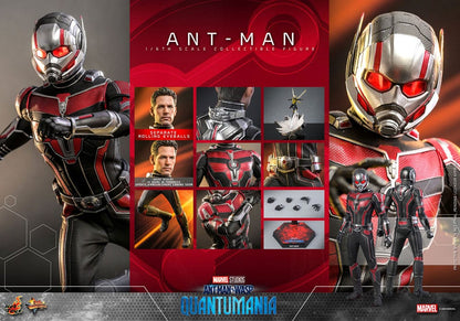 Ant-Man 1/6 Ant-Man & The Wasp: Quantumania Figura Movie Masterpiece