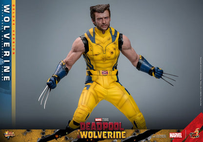 🔴PRE-ORDER Wolverine (Deluxe Version) 1/6 Deadpool & Wolverine Movie Masterpiece Figura