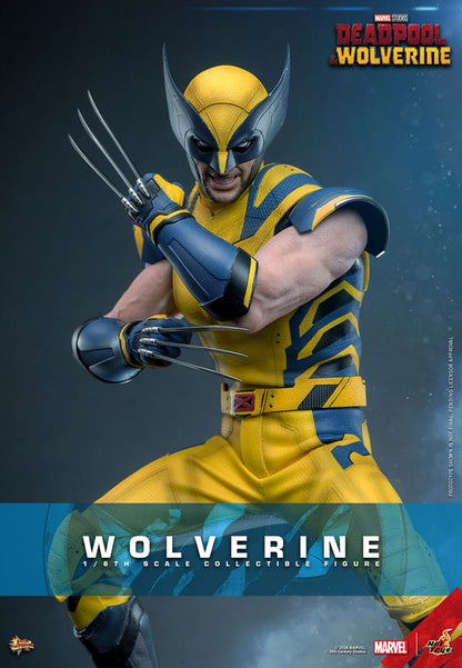 🔴PRE-ORDER Wolverine  1/6 Deadpool & Wolverine Movie Masterpiece Figura