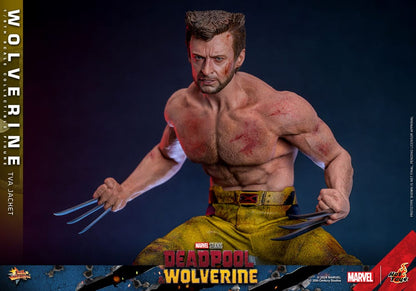🔴PRE-ORDER Wolverine (TVA Jacket Version) 1/6 Deadpool & Wolverine Movie Masterpiece Figura