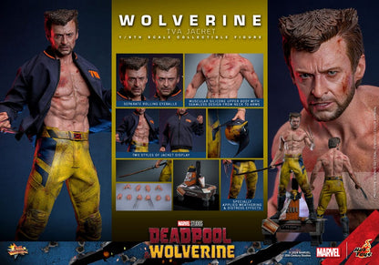 🔴PRE-ORDER Wolverine (TVA Jacket Version) 1/6 Deadpool & Wolverine Movie Masterpiece Figura