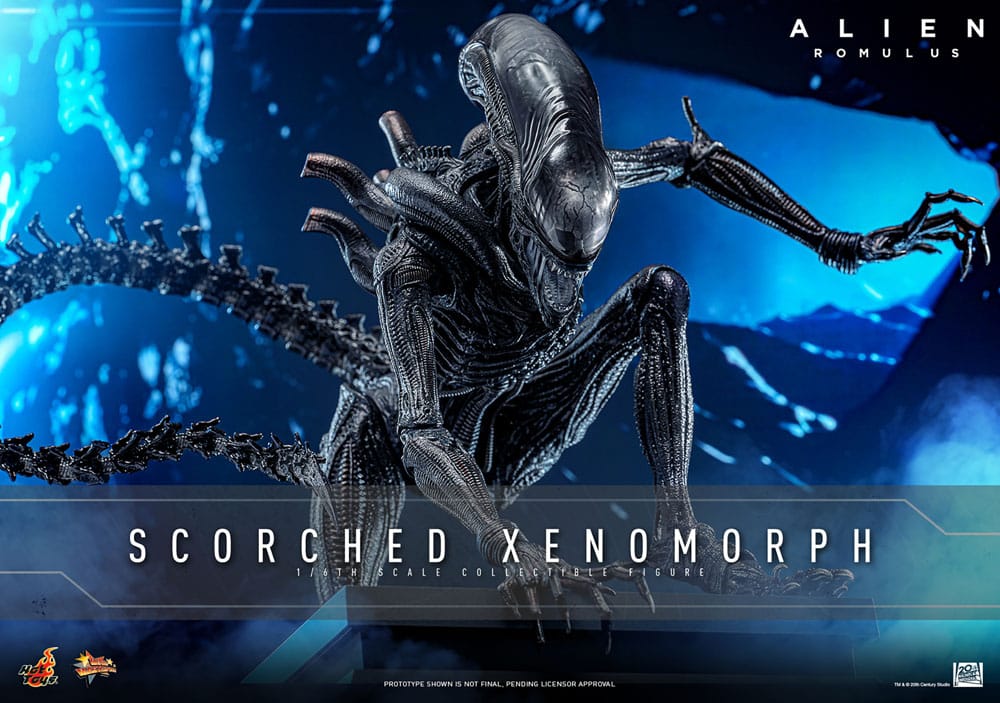 🔴PRE-ORDER Scorched Xenomorph 1/6 Alien: Romulus Figura Movie Masterpiece
