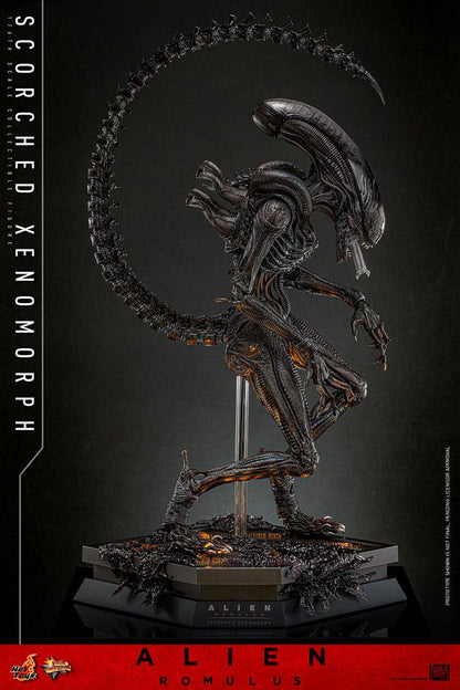 🔴PRE-ORDER Scorched Xenomorph 1/6 Alien: Romulus Figura Movie Masterpiece