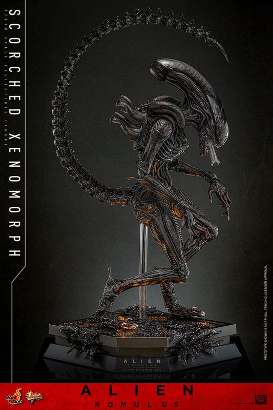 🔴PRE-ORDER Scorched Xenomorph 1/6 Alien: Romulus Figura Movie Masterpiece