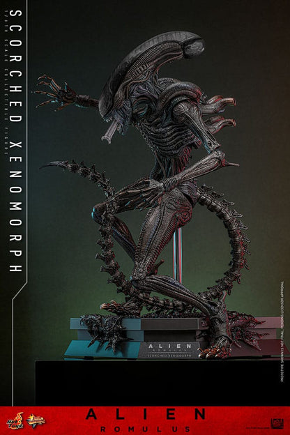 🔴PRE-ORDER Scorched Xenomorph 1/6 Alien: Romulus Figura Movie Masterpiece