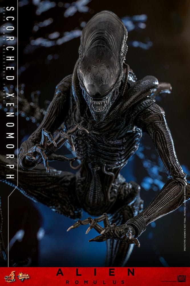 🔴PRE-ORDER Scorched Xenomorph 1/6 Alien: Romulus Figura Movie Masterpiece