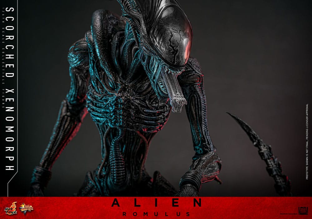 🔴PRE-ORDER Scorched Xenomorph 1/6 Alien: Romulus Figura Movie Masterpiece