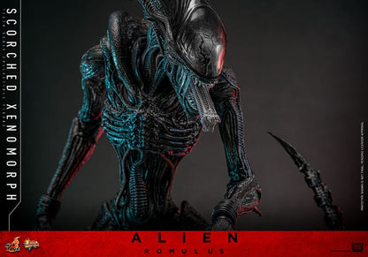 🔴PRE-ORDER Scorched Xenomorph 1/6 Alien: Romulus Figura Movie Masterpiece