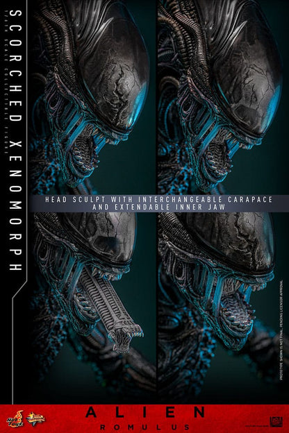 🔴PRE-ORDER Scorched Xenomorph 1/6 Alien: Romulus Figura Movie Masterpiece
