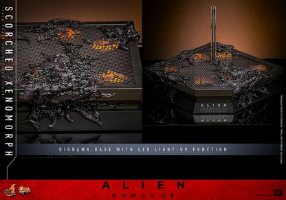 🔴PRE-ORDER Scorched Xenomorph 1/6 Alien: Romulus Figura Movie Masterpiece