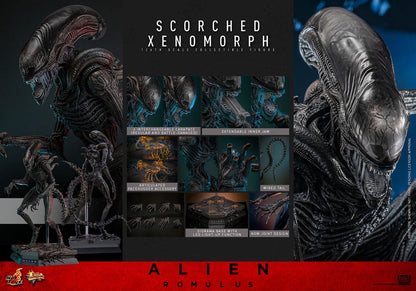 🔴PRE-ORDER Scorched Xenomorph 1/6 Alien: Romulus Figura Movie Masterpiece